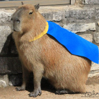 Capybara 2048