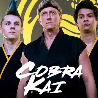 Cobra Kai 2048