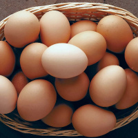 Eggs 2048