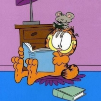 Garfield 2048