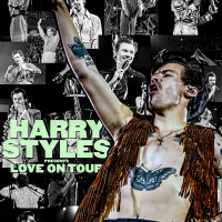 Harry Styles Love On Tour 2048