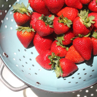 Strawberries 2048