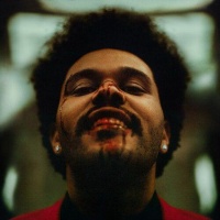 The Weeknd 2048
