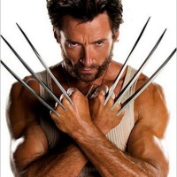 Wolverine 2048
